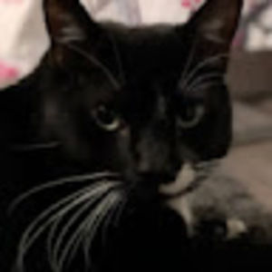 Meet your Posher, Harper